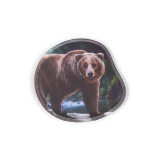 Ergobag Kontur Klettie Grizzly Bär 1 Klettie