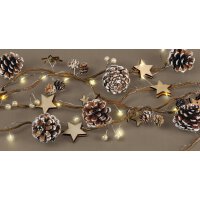 Moses Verlag Lichterkette Tannenzapfen und Sterne Weihnachten