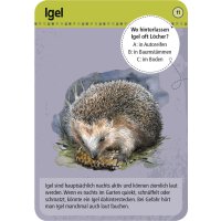 Moses Verlag 50 Tiere der Nacht