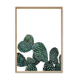 Leo La Douce Kunstdruck - Cactus family Format A4