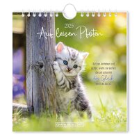 Grafik Werkstatt Postkarten-Kalender 2025 Auf leisen Pfoten