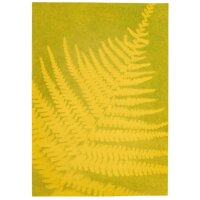 Moses Verlag PhänoMINT Buntes Sonnendruckpapier